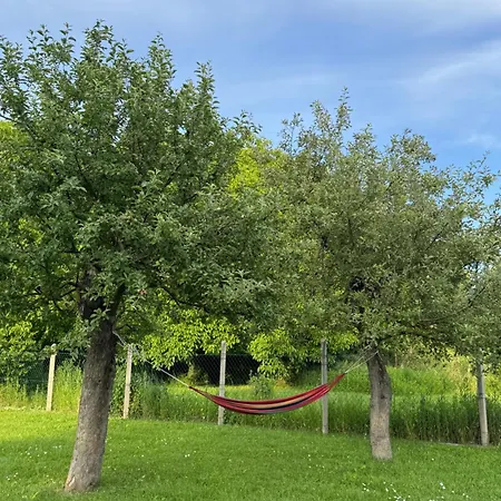 Pensionat Kis-duna Vendeghaz *