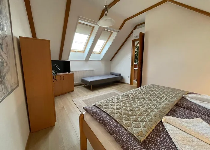 Pensionat Kis-duna Vendeghaz