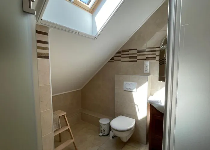 Pensionat Kis-duna Vendeghaz