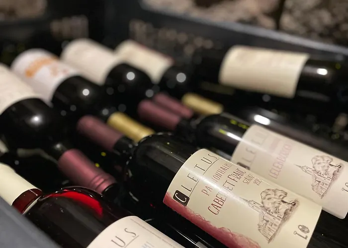 Pensionat Kis-duna Vendeghaz