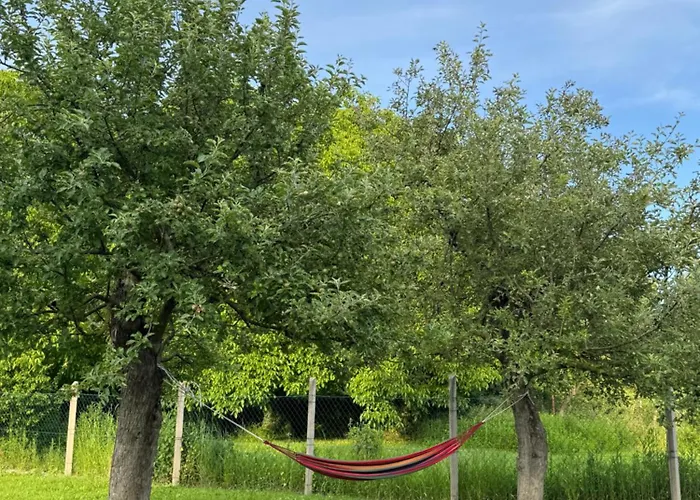 Pensionat Kis-duna Vendeghaz 4*