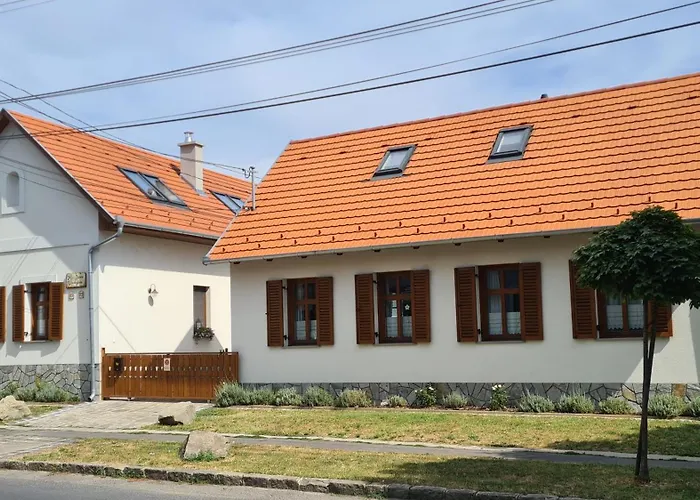 Pensionat Kis-duna Vendeghaz 4*